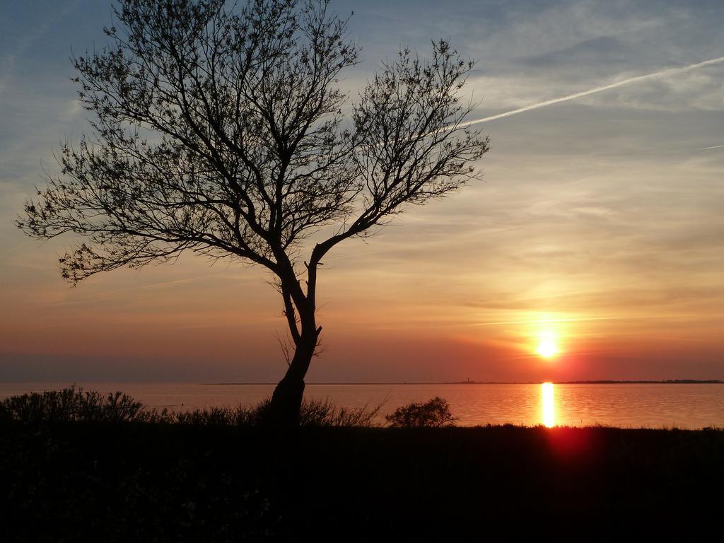 Haus Achtern Diek In Erster Reihe Am Meer Fehmarn Exteriér fotografie