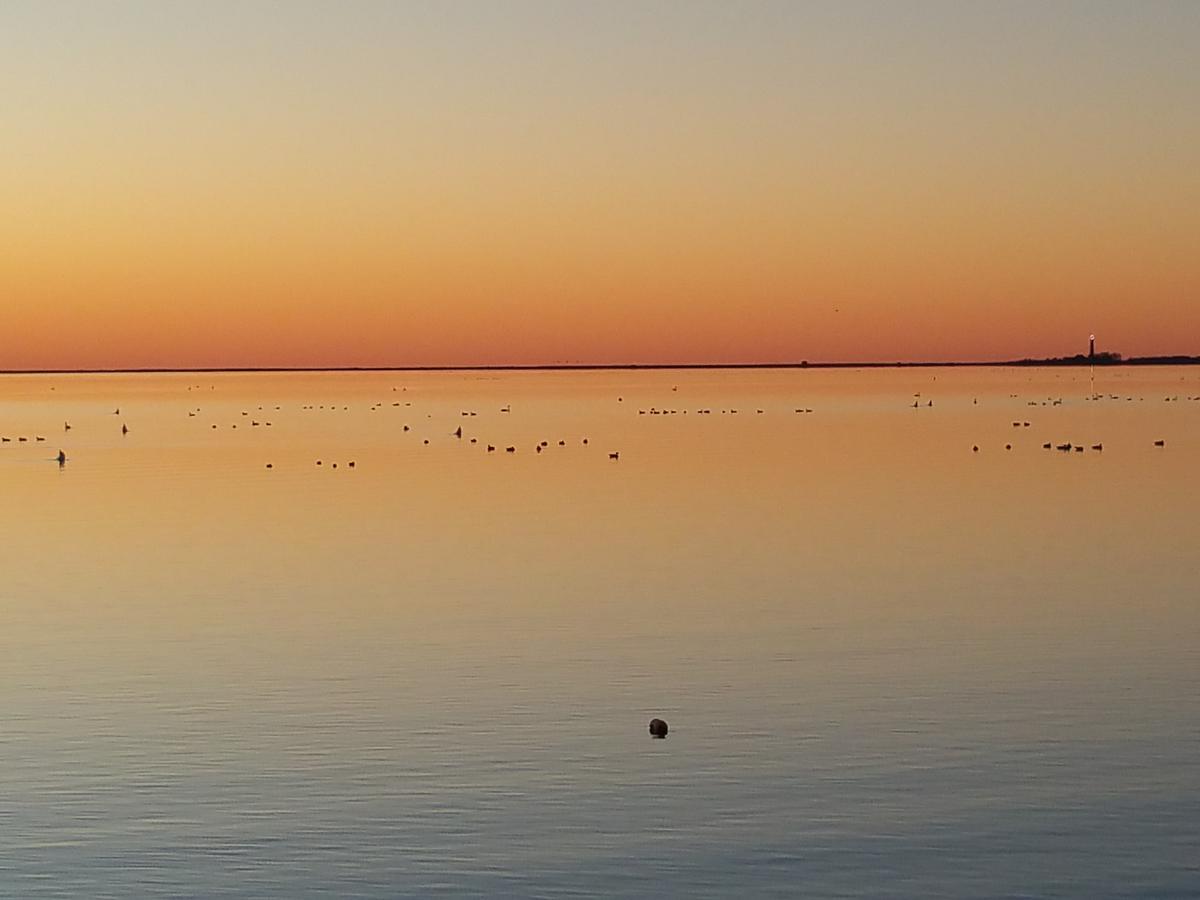 Haus Achtern Diek In Erster Reihe Am Meer Fehmarn Exteriér fotografie